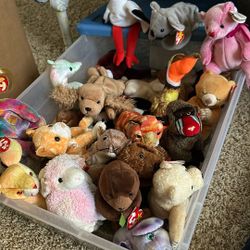 TY Beanie Babies