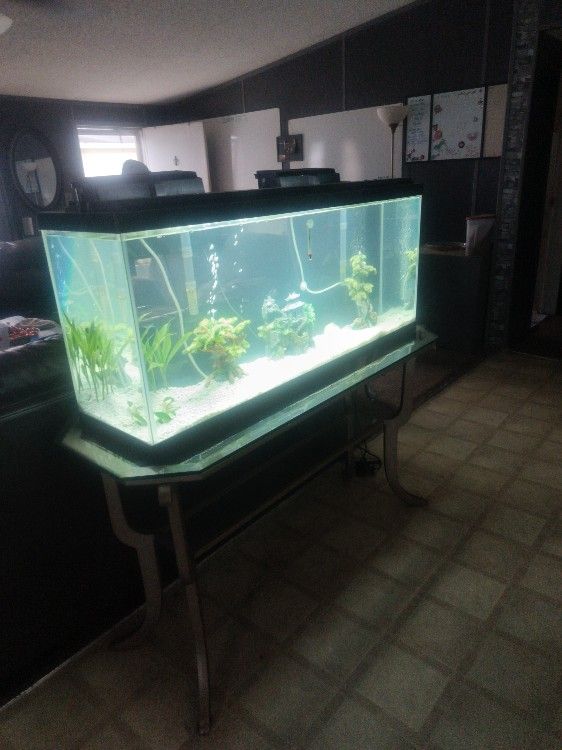 55 Gallon Everything You See In The Picture You Get