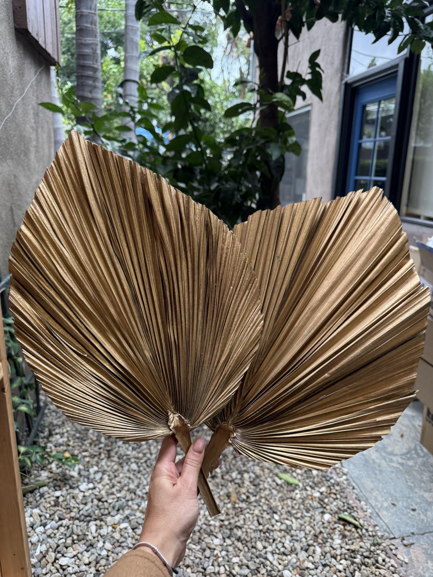 Dried Natural Palm Leaves 2 pcs Large Boho Look Home Wedding Decor -Round Fan A