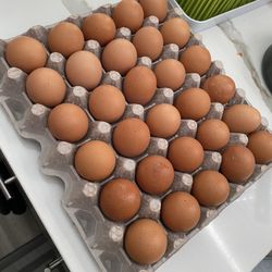 Medium Eggs