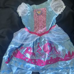 2T Girl Costume 