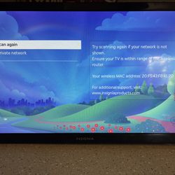 25 Inch insignia Roku TV