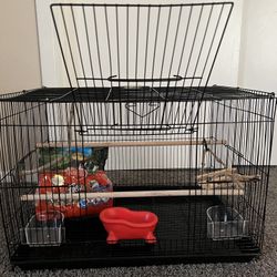 Rectangle Flight Bird Cage