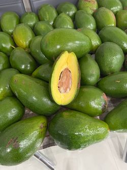 Aguacate