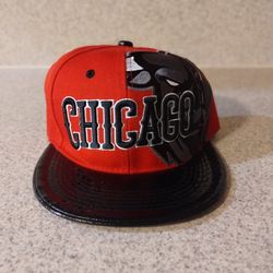 Chicago Bulls Hat