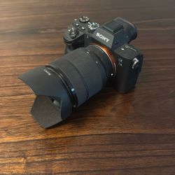 Sony Alpha A7 III Mirrorless Camera + Lens