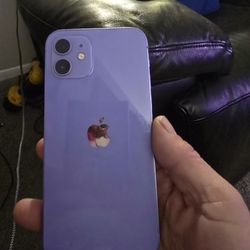 Apple 12