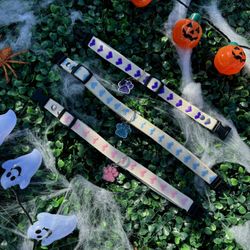 Collars For Dogs Or Cats