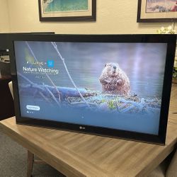 LG 42” LCD TV (Model 42LK450) – Works Great! – $60 Includes an Amazon Fire Stick with remote! 
