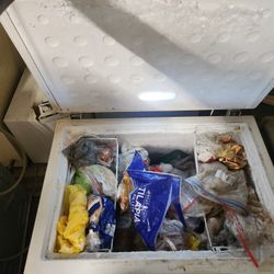 Fully Operational Freezer