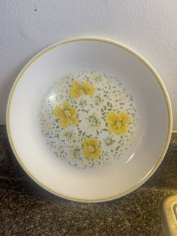 Vintage Ceramic Dinner Plates