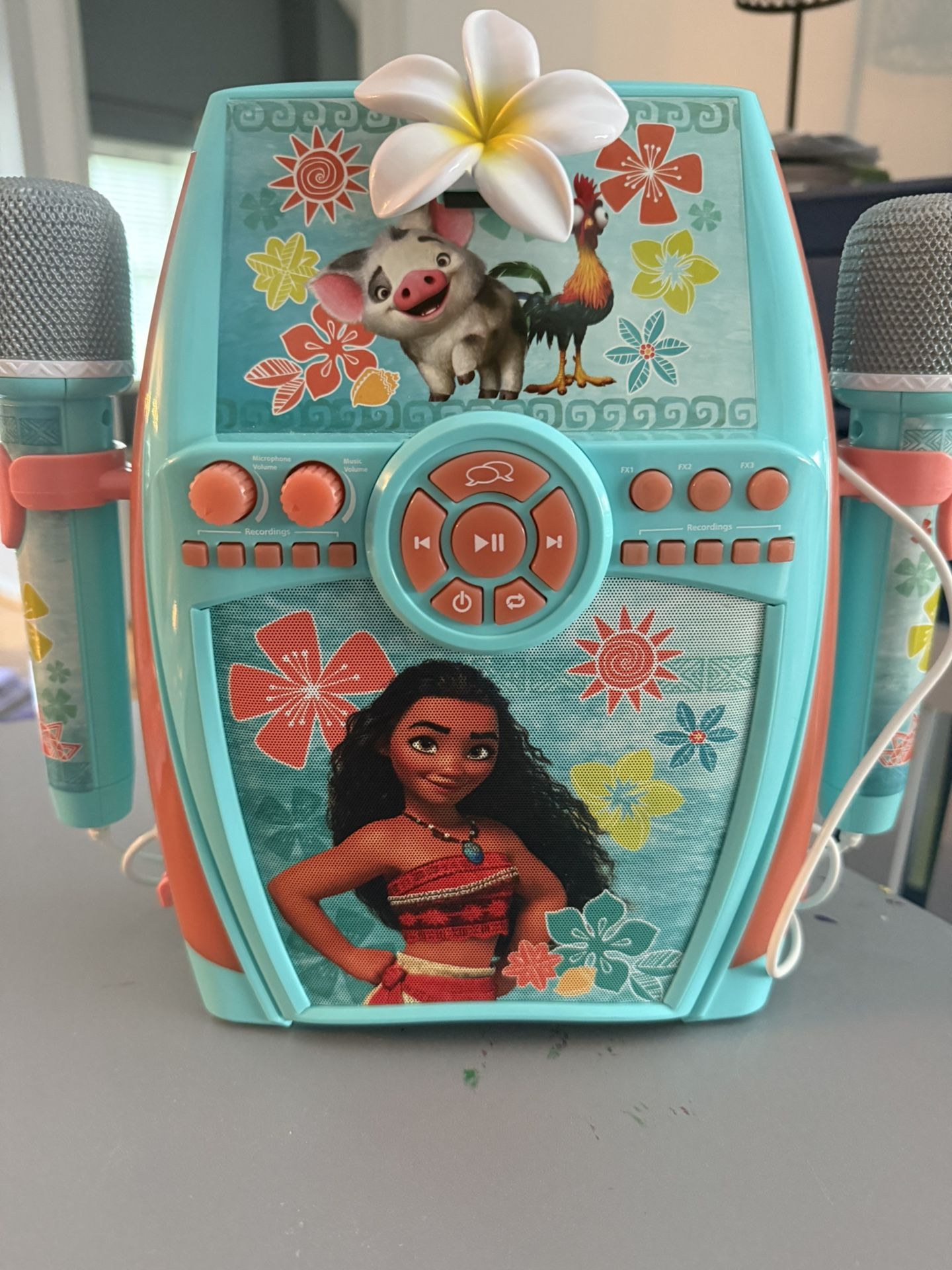 Karaoke machine ($20)