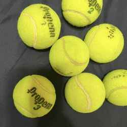 $7 Dog Toy Tennis Balls 