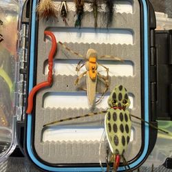 Fly Fishing Lures And Holder 