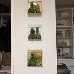 Wall Decor: Fake Succulents 