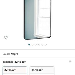 Mirror 22x30 New