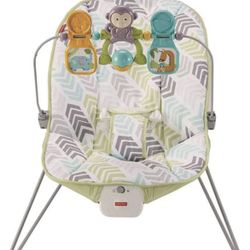 Baby Bouncer