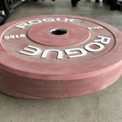 Rogue 55 Lb Bumper Weight Plates - Pair