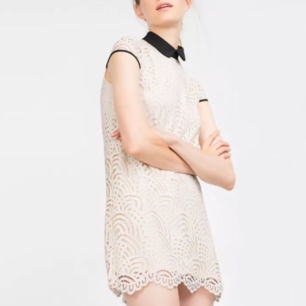 Zara Lace Dress