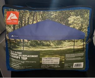 Canopy replacement 10x10