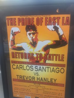 Carlos Santiago Boxing Poster