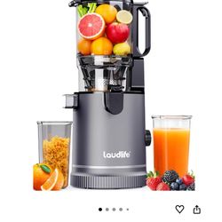 LaudLife cold press slow Juicer 