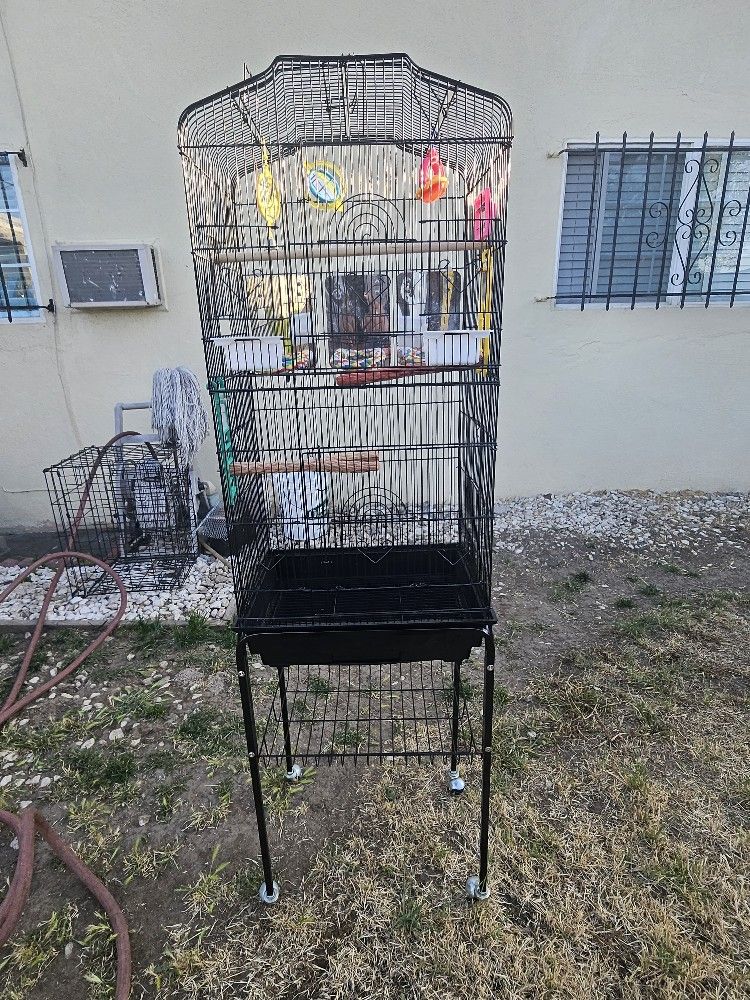 Bird Cage For Sale