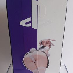 PlayStation 2 With 600 PS2 Games 