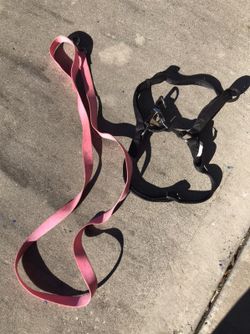 Large Dog harness