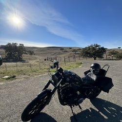 2021 Harley Davidson Iron 883