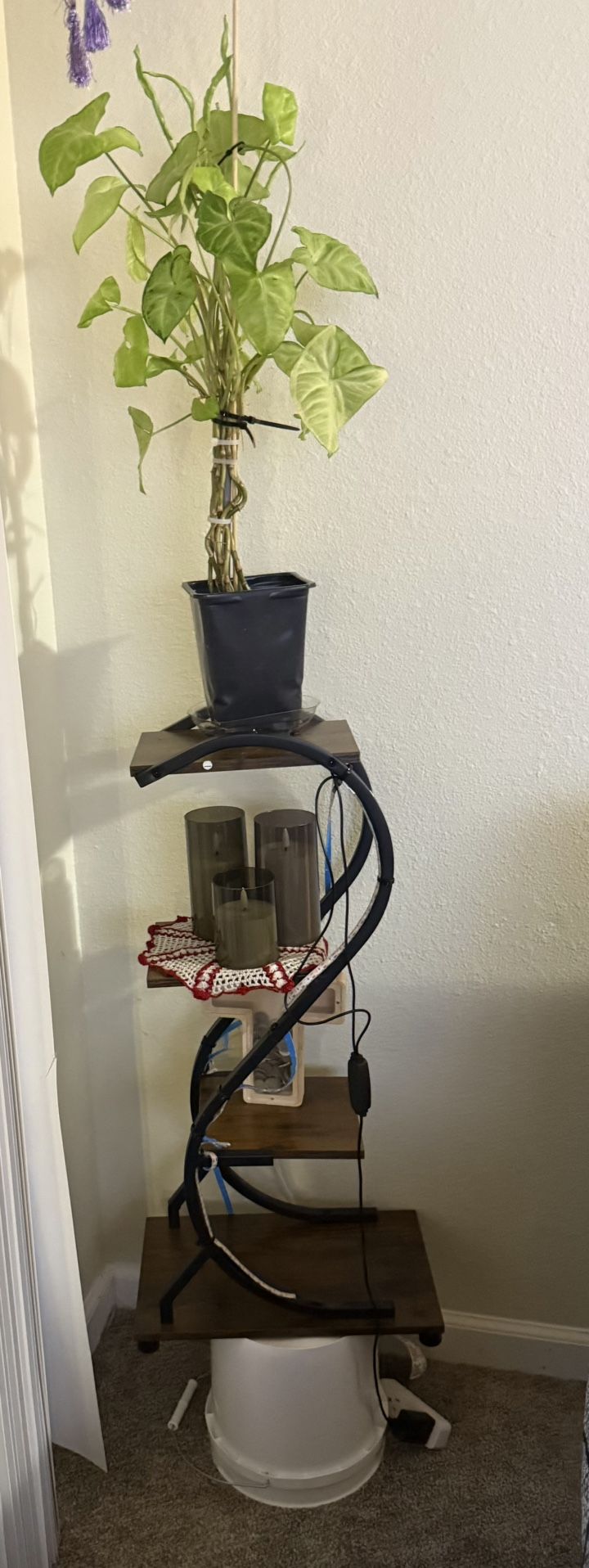 Grow Light, 4 Tiered Metal Plant Shelf Indoor, 29"