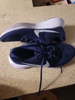Mens navy nikes