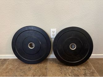 Two 15-Pound Bumper Plates