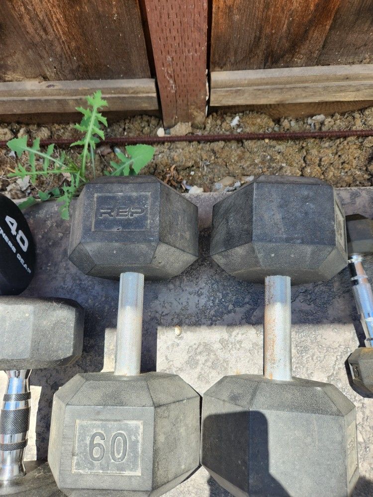 Dumbbells And Ab Bench