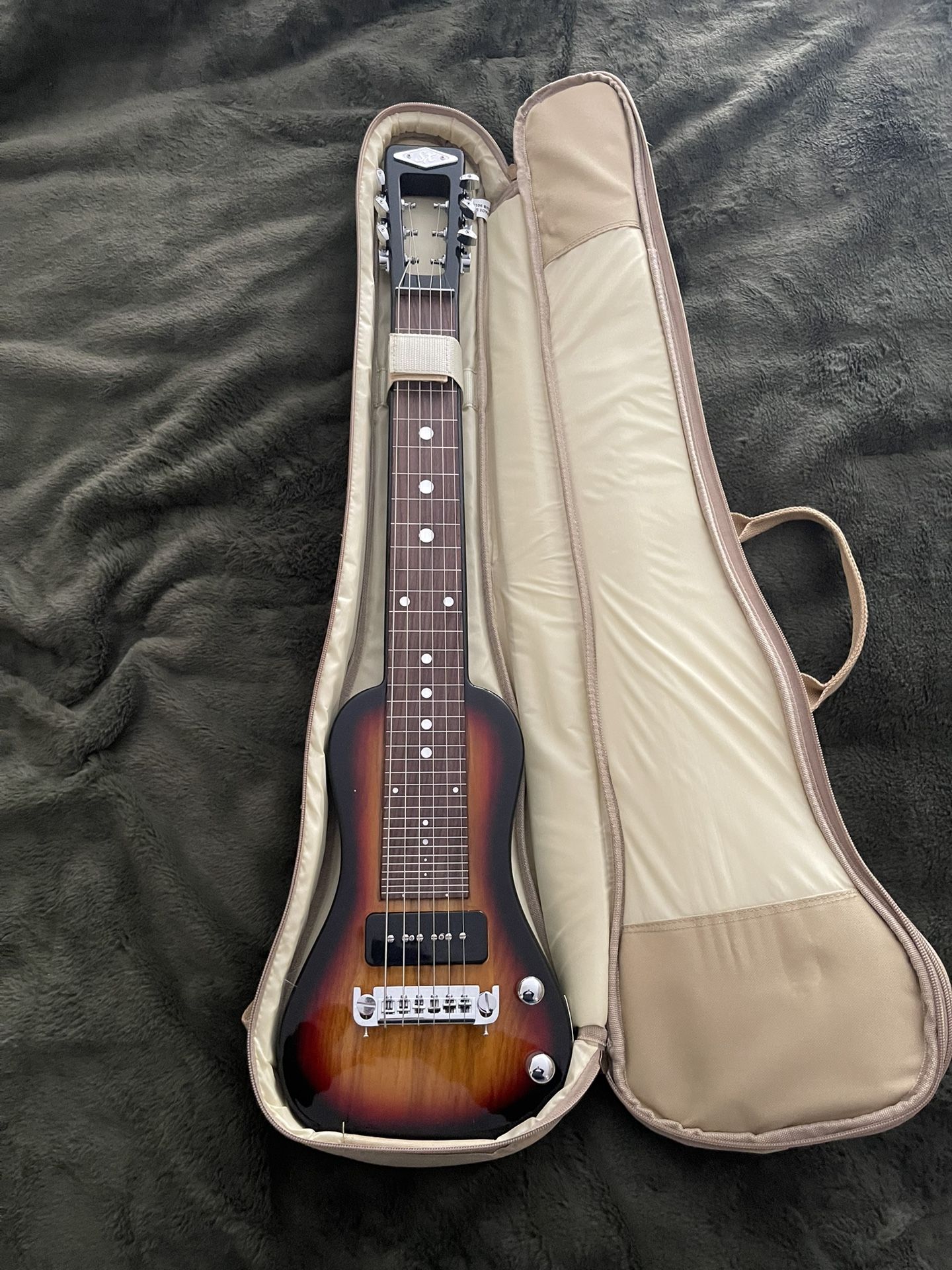 Steel Guitar