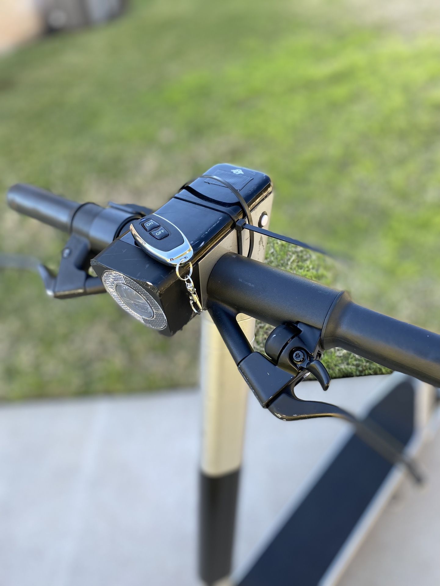 2021 Bird Scooter