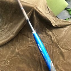 Easton Softball Bat (31in)
