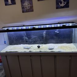 125 Gallon Fish Tank 