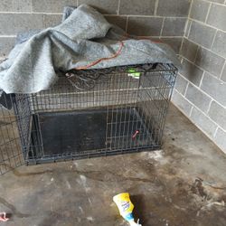 Big Dog Cage 