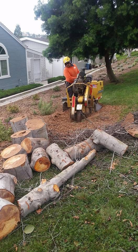 Stump Grinding Fire Wood Splitting And Delivery.