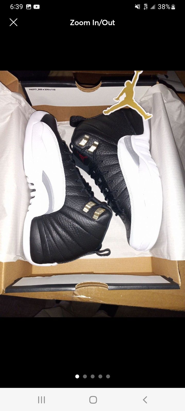 Air Jordan 12 Gs Playoff