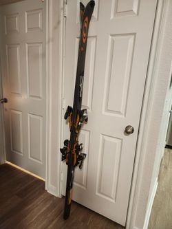 Salomon Pioneer Alpine Skiis