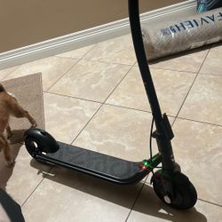 Electric Scooter 