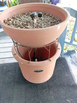 Potted plants