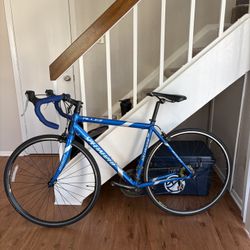 Specialized Road Bike (54)