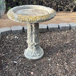 Bird Bath 
