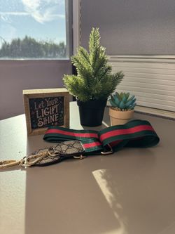 Purse strap