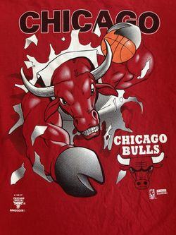 Vintage Chicago Bulls Shirt NBA Nutmeg Red T-Shirt Large 90s Double Sided Jordan