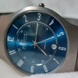 SKAGEN Titanium Steel Mesh Men's Super Slim Body Quartz Watch 233XLTTN