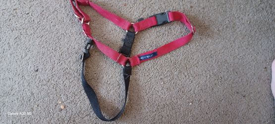 Easy Walk Harness L No Leash